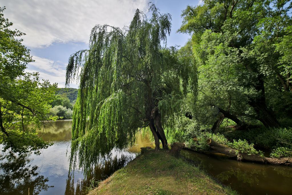 Romantic Hotel Mlyn Karlstejn Bagian luar foto